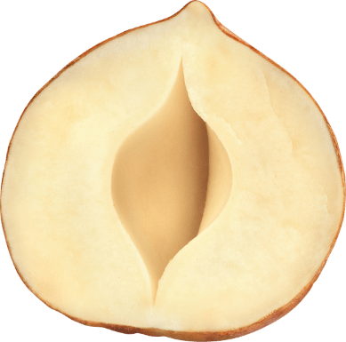 La nocciola